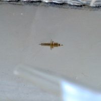 Seiko 7019 Asse del Bilanciere
